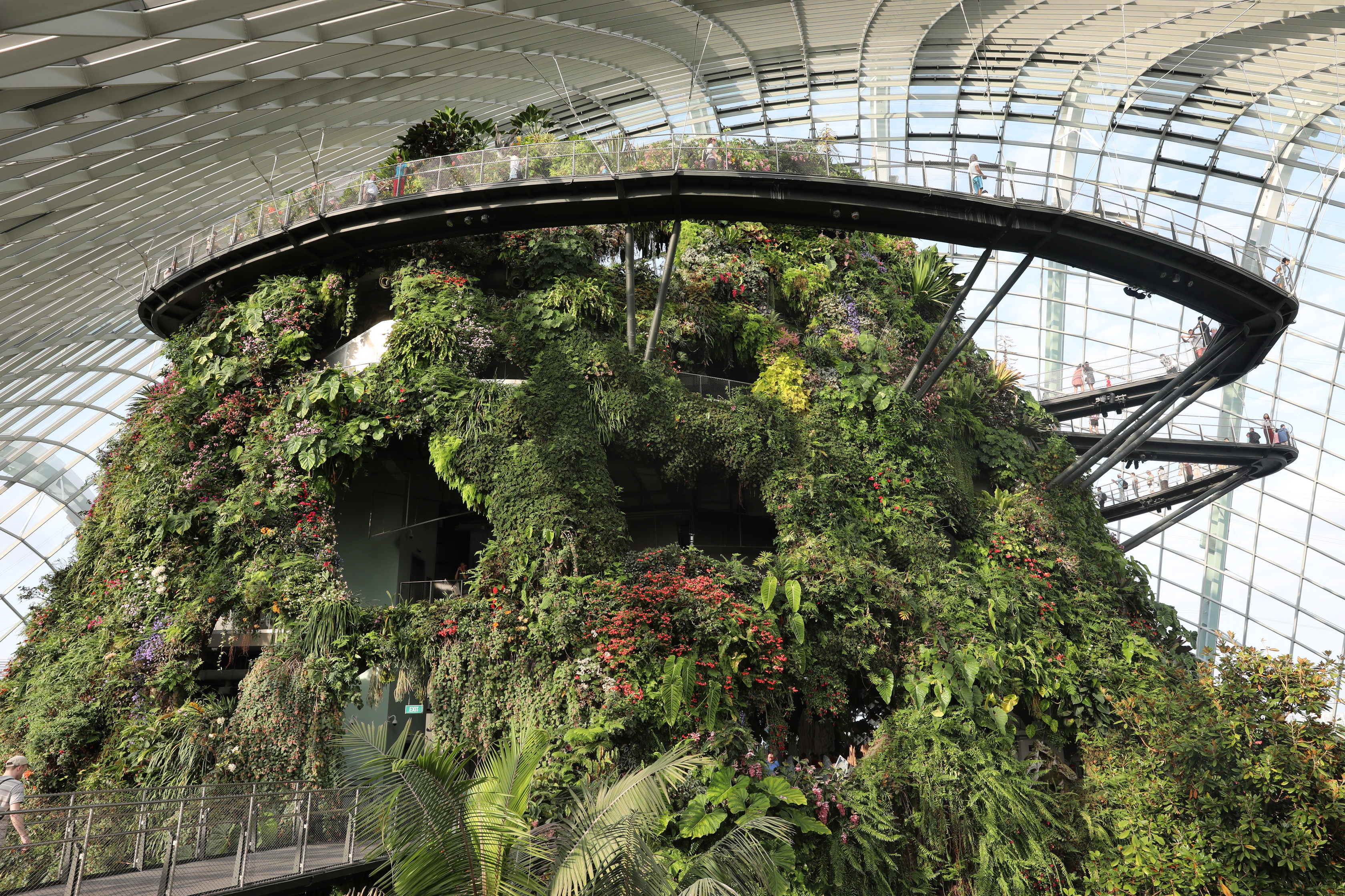 2020 02 03 17 51 45 Canon EOS 5D Mark IV 0047